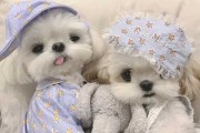 马倒着走，解读其吉凶含义