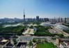 禅城兔宝宝取名之道，融合文化与自然的智慧