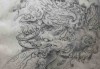 好，用户让我写一篇关于除了貔貅还有什么的文章，首先我需要确定文章的标题。标题要吸引人，同时涵盖主题，所以貔貅之外的知识听起来不错
