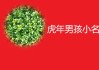 虎年宝宝取名有什么好