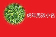 虎年宝宝取名有什么好