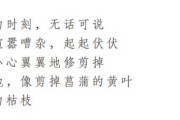 解梦，寻找生命最后的诗意表达