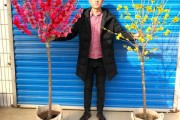 屋前种花，如意