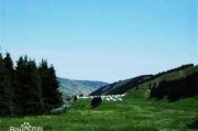 南山景区求签费用全解析，游客必看的实用指南