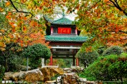 岳麓寺求签费用，探访名寺的神秘力量