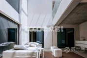 门前，种什么最好？深度解析与实用建议