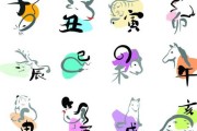 生辰八字中的阴属性解析