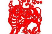 属牛与属虎，相克关与今年运势解析