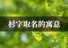 猴宝宝取名杉字，寓意深远，自然和谐之美