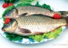 鲤鱼摔死，解读其寓意与解梦象征