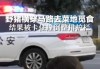 梦见野猪堵路，预兆与解梦的深层解析