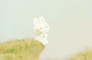 梦见花园红花，周公解梦的启示与现实意义