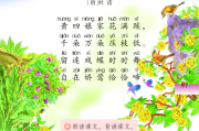 绕梁，一只鸭子的诗意栖居