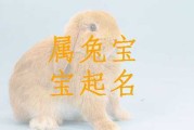 兔子宝宝取名，福星高照的小可爱名字推荐
