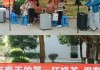 正月初一开业，气洋洋迎客来！