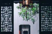 窗花与，传统艺术与生活美学的融合