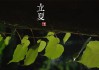 立夏将至，生肖运势解析，机遇与并存