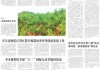 好，用户让我写一篇关于望江楼开工大吉时间是几点的文章。首先，我需要确定文章的标题，得吸引人又相关。，内容部分要详细，不少于846个字，涵盖开工大吉时间的确定方法、历史背景以及建筑意义