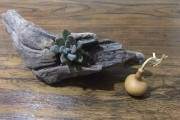 枯木发芽的签,解读与启示 枯木发芽的签,解读与启示