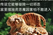 给虎宝宝取名，寓意与文化传承