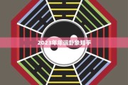 今年运势吉凶，解析2023年运势与选择