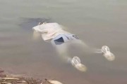 浮尸之谜，解梦与预兆的深层解析