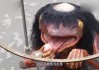 猴宝宝取名，水金元素的独特魅力
