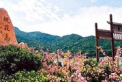 中原桃花岛竣工大吉时间