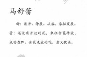 姓牛宝宝取名，传承与创新的智慧