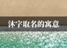 虎宝宝取名沐骞，寓意与背景解析