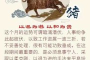 1月10日生肖运势走向，揭秘十二生肖今日运势，助你把握运势高峰！