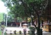 南山寺求签诗句及解释，解读古寺求签文化与诗意人生