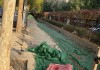 回龙铺求签，一段跨越的民间智慧