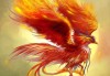 金乌求签，古老的祥瑞与现代意义