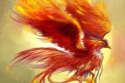 金乌求签，古老的祥瑞与现代意义
