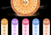 伴侣宫是什么算命的？