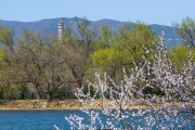 玉泉寺结婚求签费用全解析，流程与注意事项