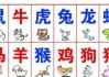 八字算命都看些什么内容