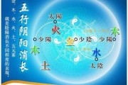 算命的木枯运，解读命运的神秘力量
