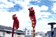 醒狮，揭秘传统习俗中的神秘讲究