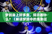鱼在梦里预示的意义，从周公解梦到文化象征
