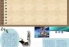 十二星座妥协，背后的原因与意义