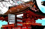 伏见稻荷神社二阶求签，神明启示与现代解读