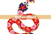 生肖蛇2023年工作运势解析，事业与机遇的双重提升