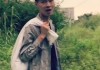 许华升家解析，布局与运势