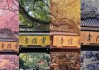 寺庙算命，与智慧的交汇处