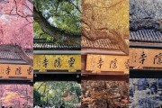 寺庙算命，与智慧的交汇处