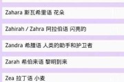 网名测吉凶打分成汉