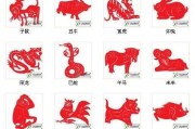 生肖猴2023年十月运势解析，事业与健康 focus on success