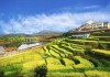 玉山镇八字测算技术，助力农业现代化的利器